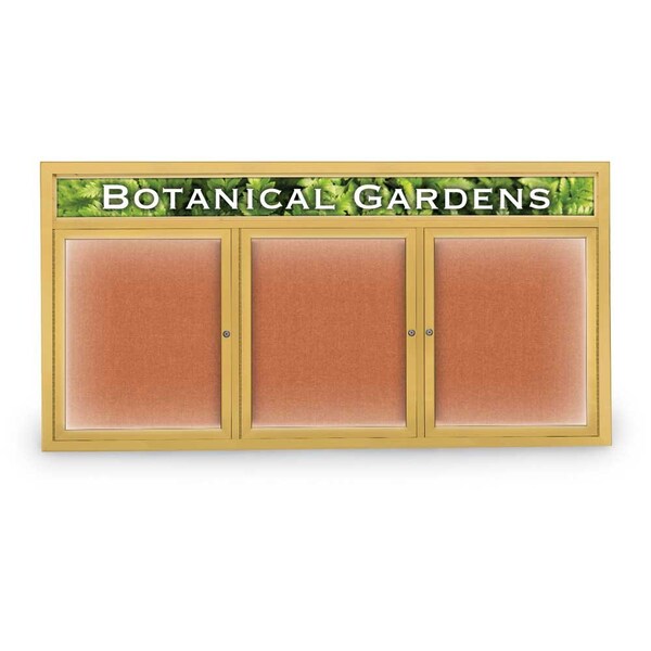 Open Faced Traditional Corkboard, 72x36"